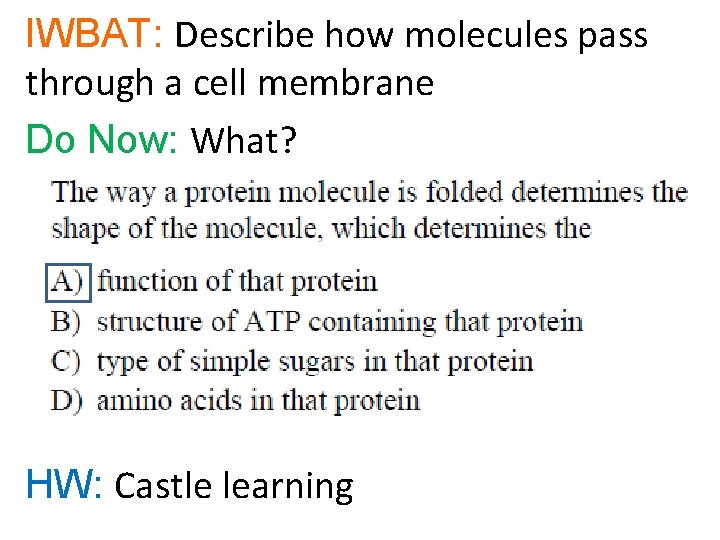 IWBAT: Describe how molecules pass through a cell membrane Do Now: What? HW: Castle
