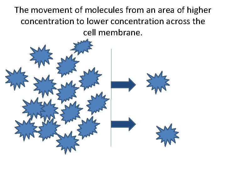 The movement of molecules from an area of higher concentration to lower concentration across