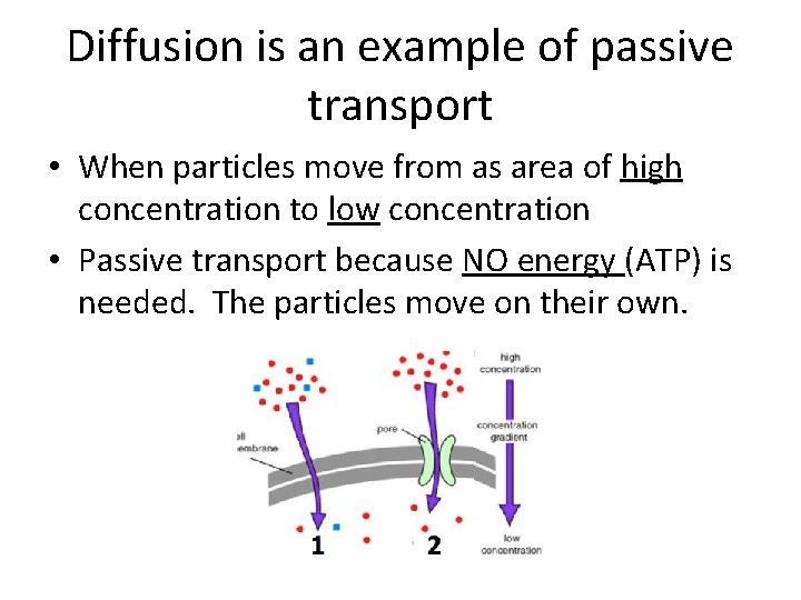 Diffusion is an example of passive transport • When particles move from as area
