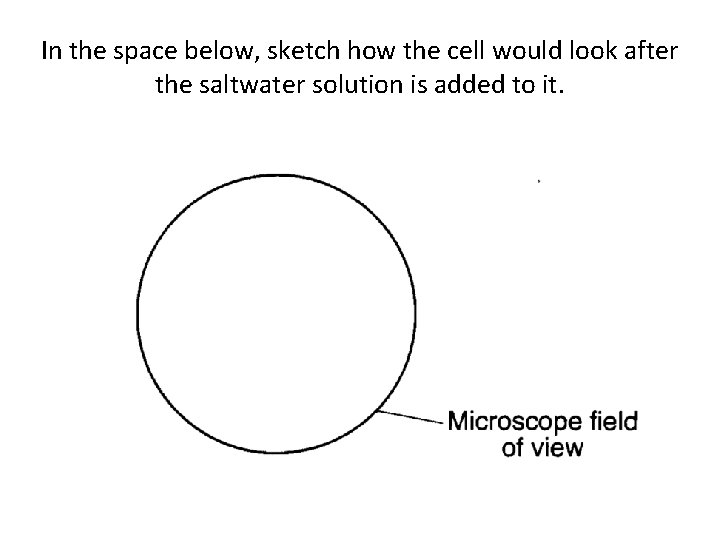 In the space below, sketch how the cell would look after the saltwater solution