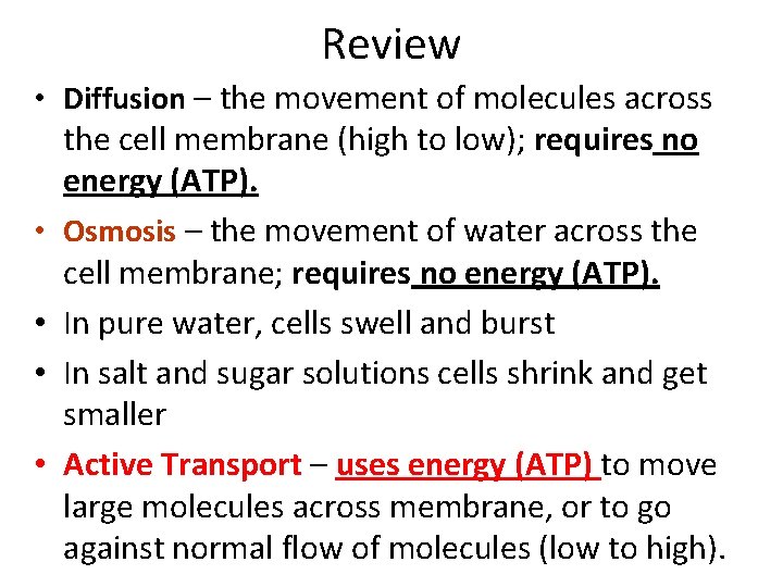 Review • Diffusion – the movement of molecules across the cell membrane (high to