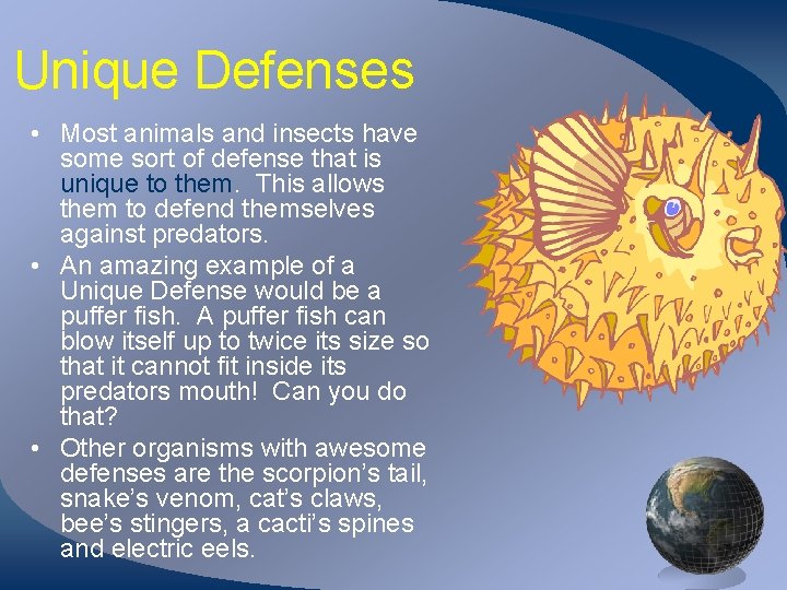 Unique Defenses • Most animals and insects have some sort of defense that is