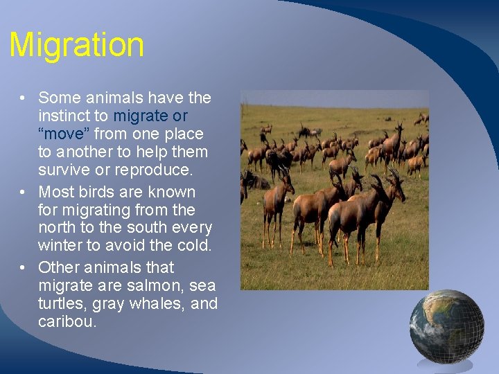 Migration • Some animals have the instinct to migrate or “move” from one place