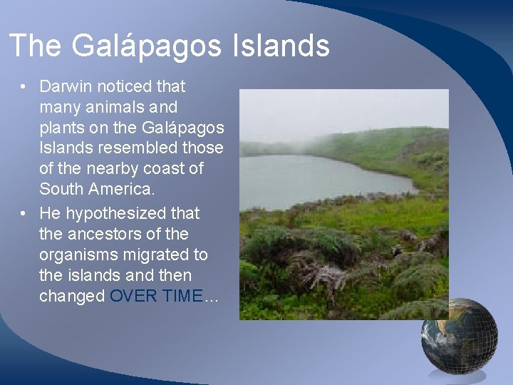 The Galápagos Islands • Darwin noticed that many animals and plants on the Galápagos