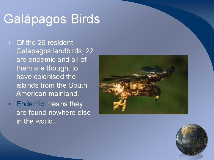 Galápagos Birds • Of the 29 resident Galapagos landbirds, 22 are endemic and all