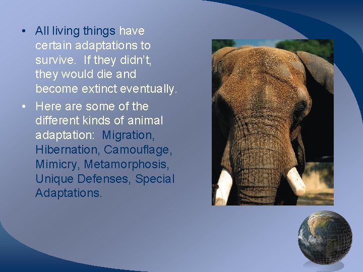  • All living things have certain adaptations to survive. If they didn’t, they