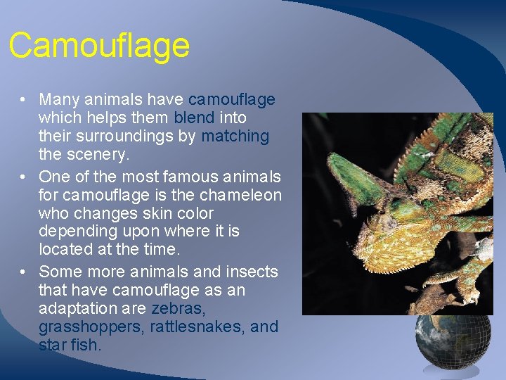 Camouflage • Many animals have camouflage which helps them blend into their surroundings by