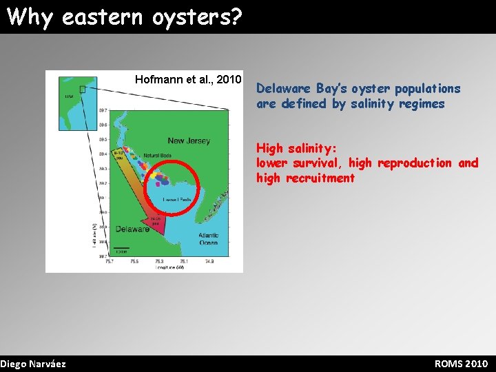 Why eastern oysters? Diego Narváez Hofmann et al. , 2010 Delaware Bay’s oyster populations