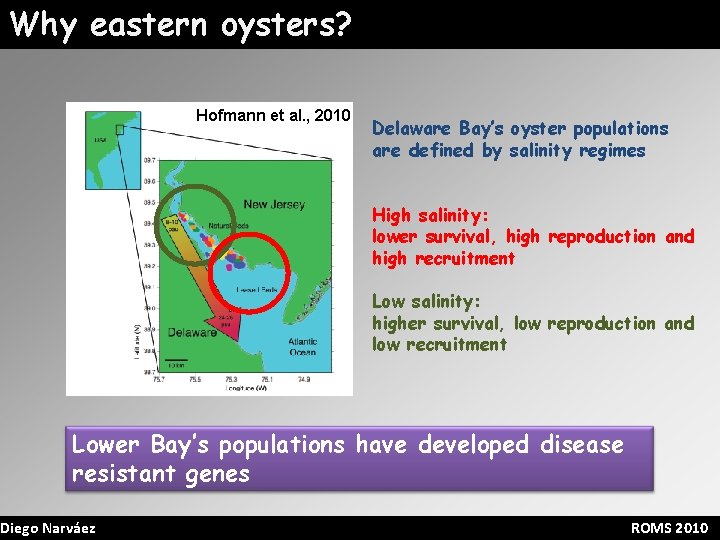 Why eastern oysters? Hofmann et al. , 2010 Delaware Bay’s oyster populations are defined