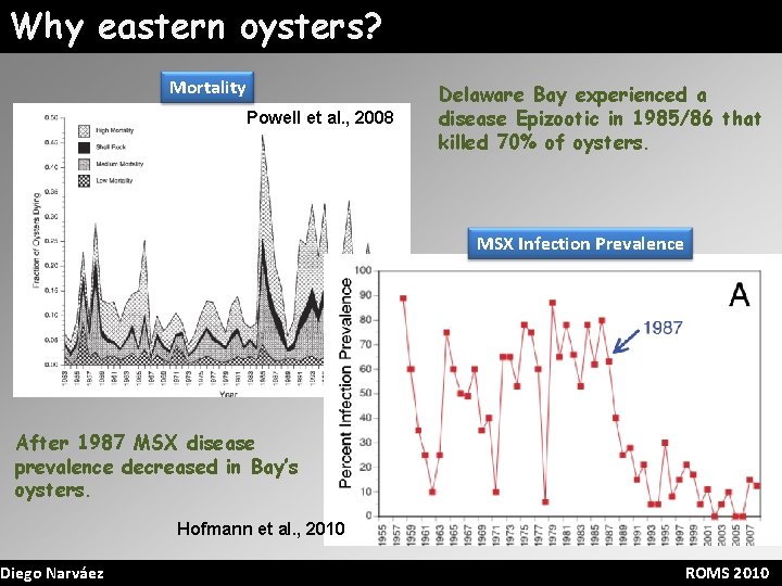 Why eastern oysters? Mortality Powell et al. , 2008 Delaware Bay experienced a disease