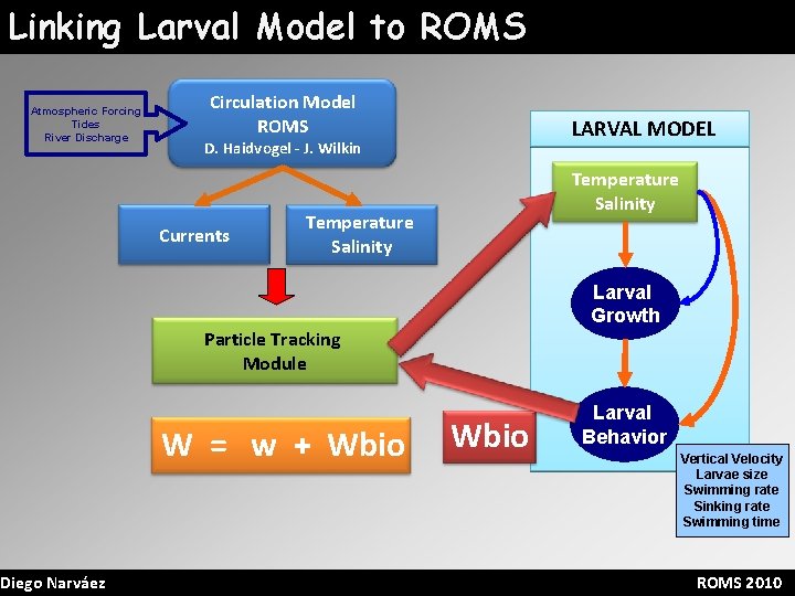 Linking Larval Model to ROMS Atmospheric Forcing Tides River Discharge Diego Narváez Circulation Model