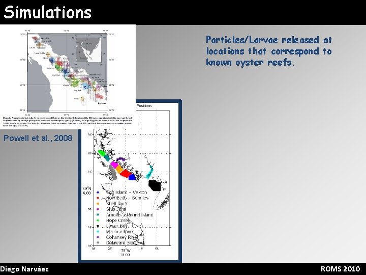Simulations Particles/Larvae released at locations that correspond to known oyster reefs. Powell et al.
