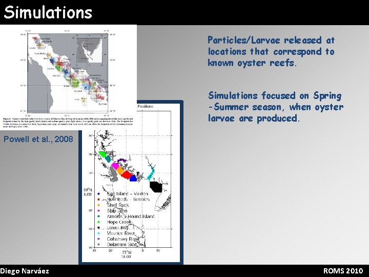 Simulations Particles/Larvae released at locations that correspond to known oyster reefs. Simulations focused on
