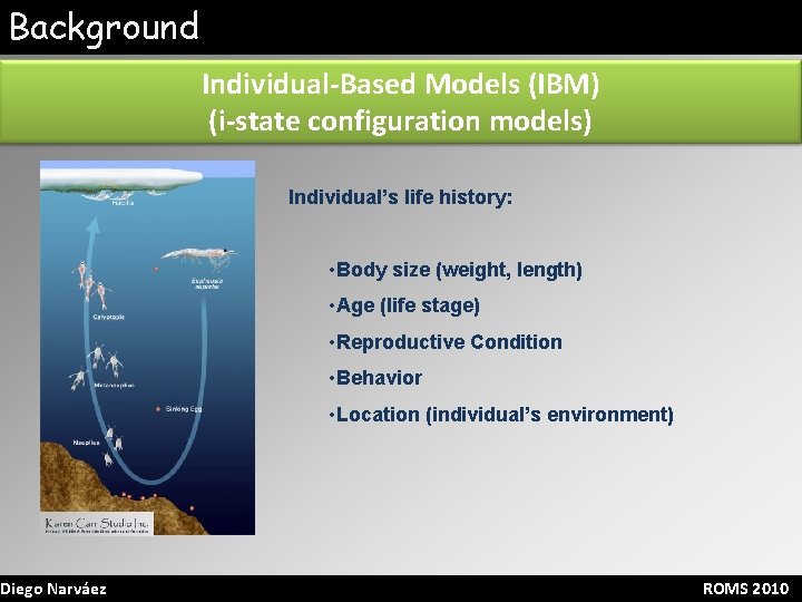 Background Diego Narváez Individual-Based Models (IBM) (i-state configuration models) Individual’s life history: • Body