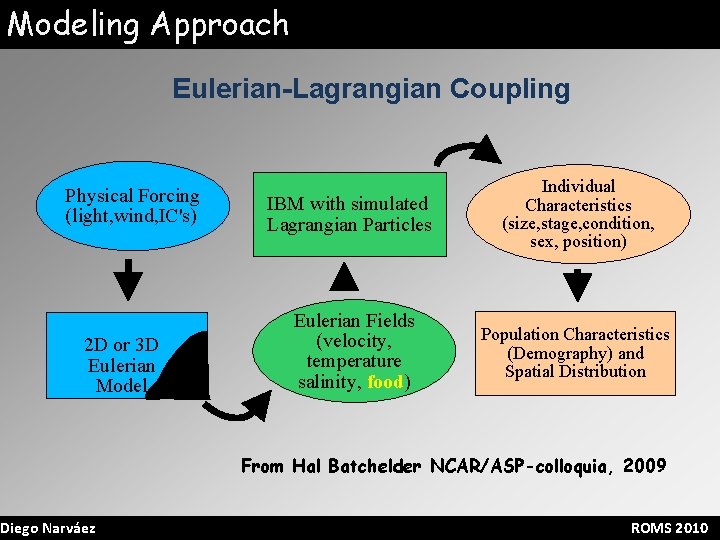 Modeling Approach Eulerian-Lagrangian Coupling Physical Forcing (light, wind, IC's) 2 D or 3 D