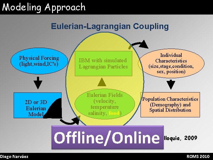Modeling Approach Eulerian-Lagrangian Coupling Physical Forcing (light, wind, IC's) 2 D or 3 D