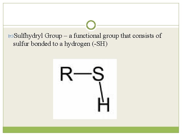  Sulfhydryl Group – a functional group that consists of sulfur bonded to a