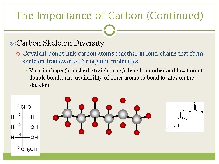 The Importance of Carbon (Continued) Carbon Skeleton Diversity Covalent bonds link carbon atoms together
