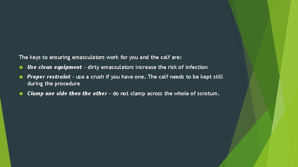 The keys to ensuring emasculators work for you and the calf are: Use clean