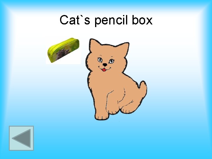 Cat`s pencil box 