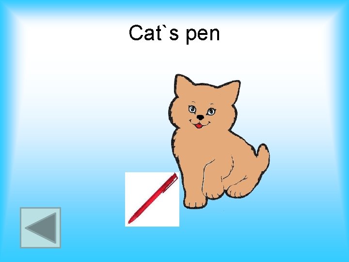Cat`s pen 