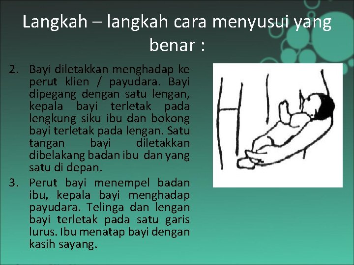 Langkah – langkah cara menyusui yang benar : 2. Bayi diletakkan menghadap ke perut