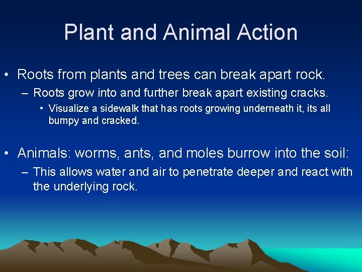 Plant and Animal Action • Roots from plants and trees can break apart rock.