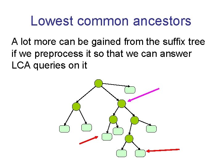 Lowest common ancestors A lot more can be gained from the suffix tree if