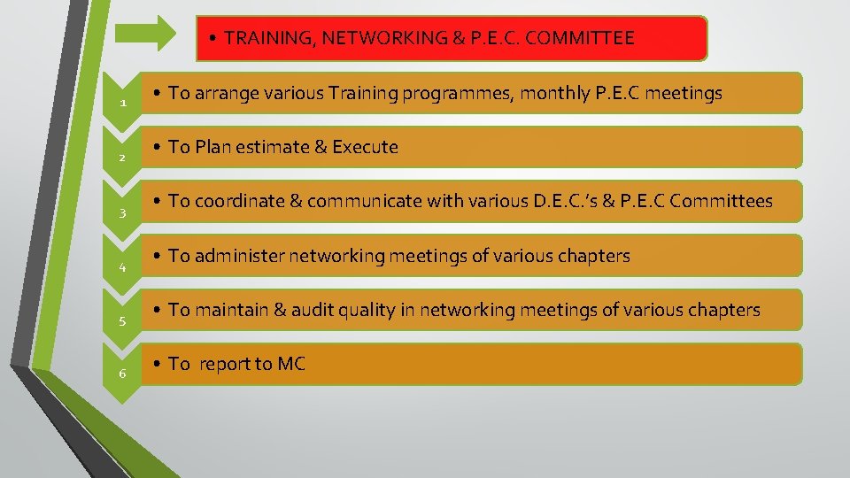  • TRAINING, NETWORKING & P. E. C. COMMITTEE 1 • To arrange various