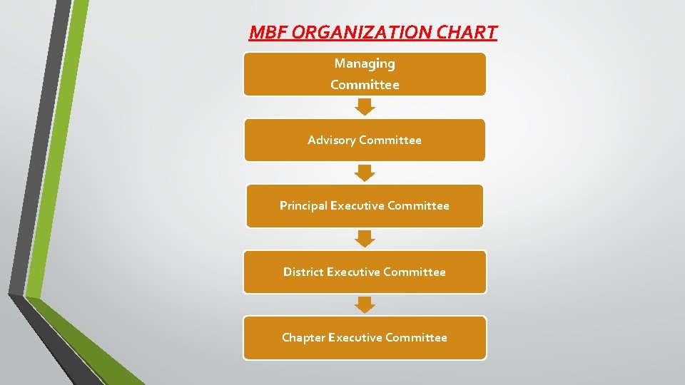 MBF ORGANIZATION CHART Managing Committee Advisory Committee Principal Executive Committee District Executive Committee Chapter
