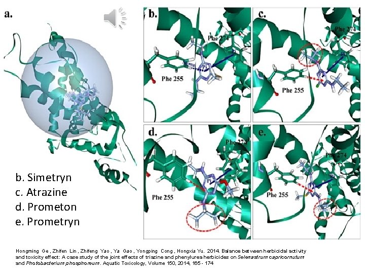 b. Simetryn c. Atrazine d. Prometon e. Prometryn Hongming Ge , Zhifen Lin ,