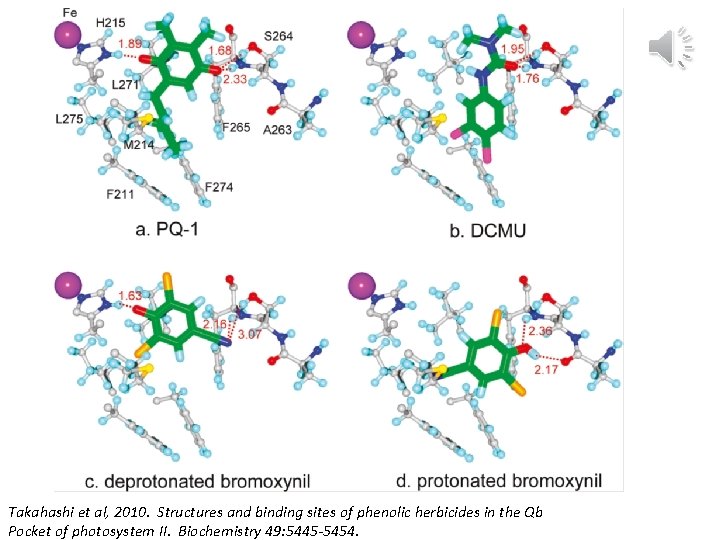 Takahashi et al, 2010. Structures and binding sites of phenolic herbicides in the Qb