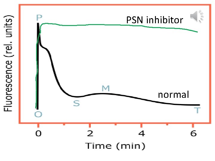 PSN inhibitor normal 