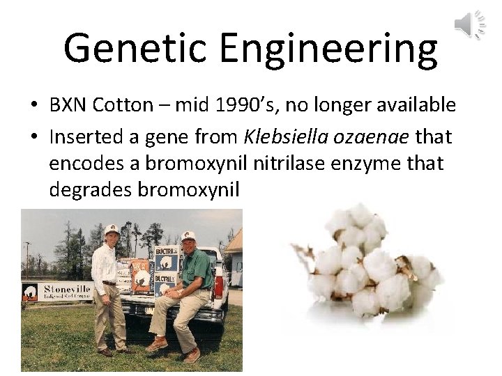 Genetic Engineering • BXN Cotton – mid 1990’s, no longer available • Inserted a