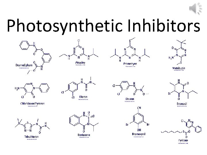 Photosynthetic Inhibitors 