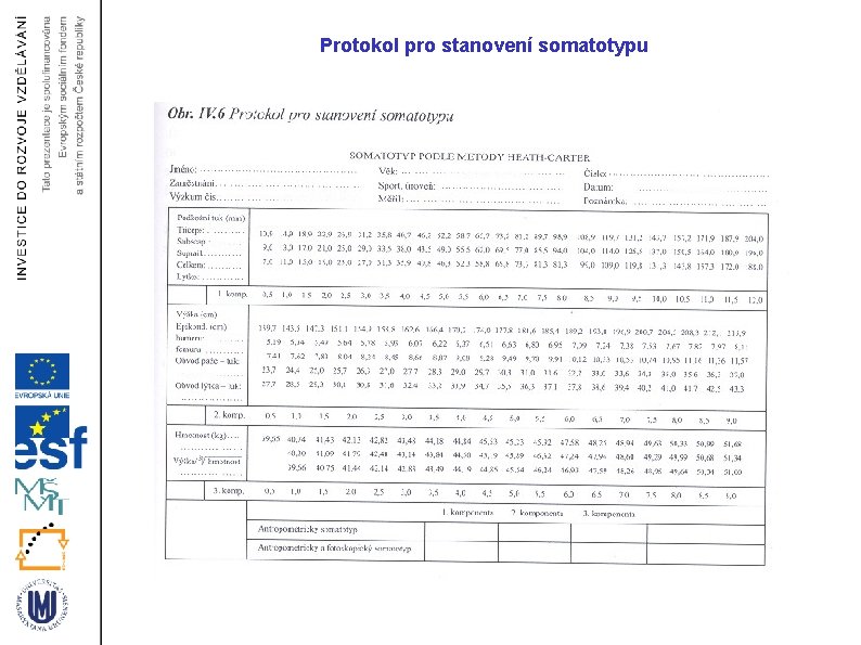 Protokol pro stanovení somatotypu 