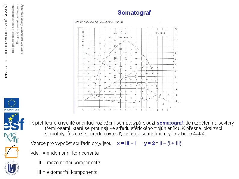 Somatograf K přehledné a rychlé orientaci rozložení somatotypů slouží somatograf. Je rozdělen na sektory