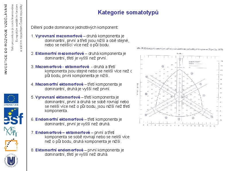 Kategorie somatotypů Dělení podle dominance jednotlivých komponent: 1. Vyrovnaní mezomorfové – druhá komponenta je