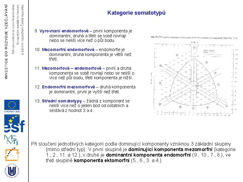 Kategorie somatotypů 9. Vyrovnaní endomorfové – první komponenta je dominantní, druhá a třetí se