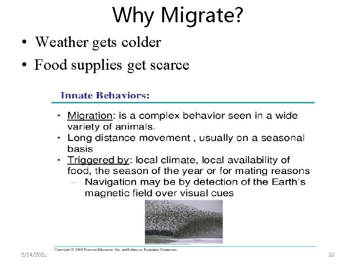 Why Migrate? • Weather gets colder • Food supplies get scarce 2/14/2022 10 