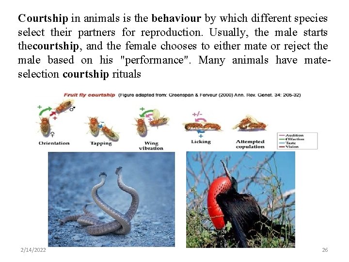 Courtship in animals is the behaviour by which different species select their partners for