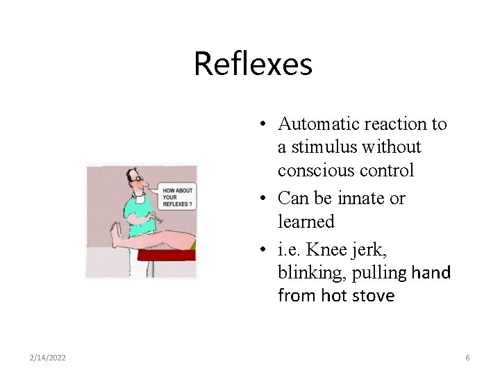 Reflexes • Automatic reaction to a stimulus without conscious control • Can be innate