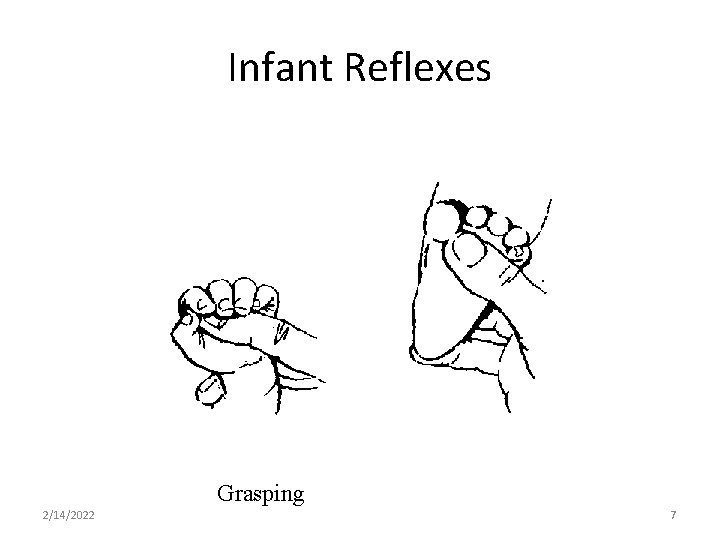 Infant Reflexes Grasping 2/14/2022 7 