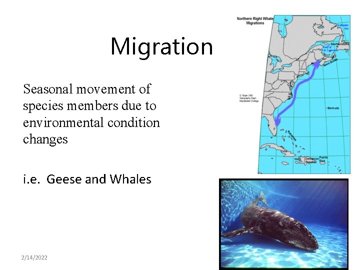 Migration Seasonal movement of species members due to environmental condition changes i. e. Geese