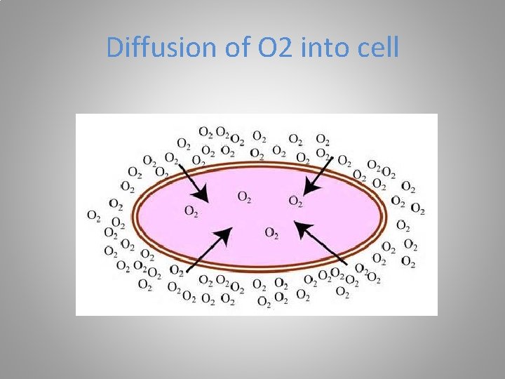 Diffusion of O 2 into cell 
