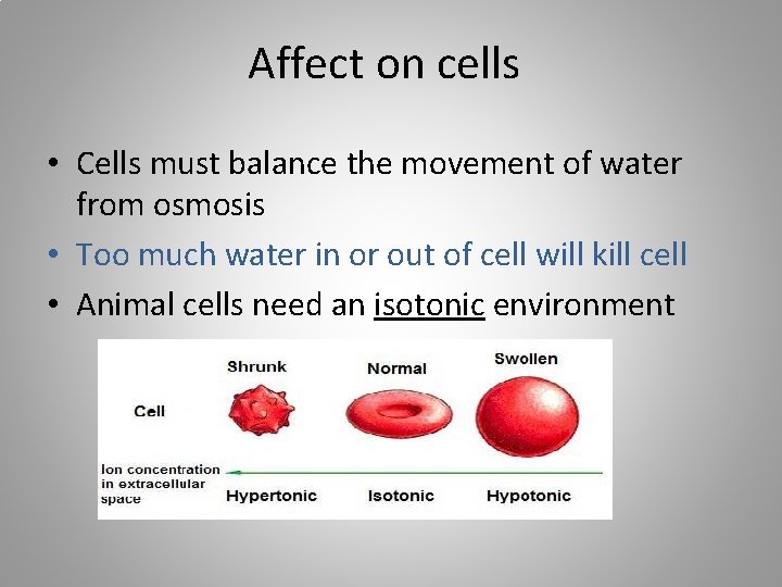 Affect on cells • Cells must balance the movement of water from osmosis •