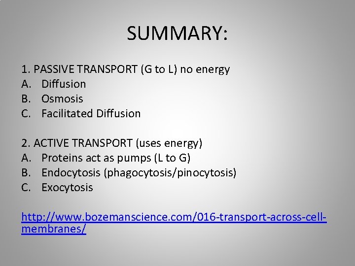 SUMMARY: 1. PASSIVE TRANSPORT (G to L) no energy A. Diffusion B. Osmosis C.