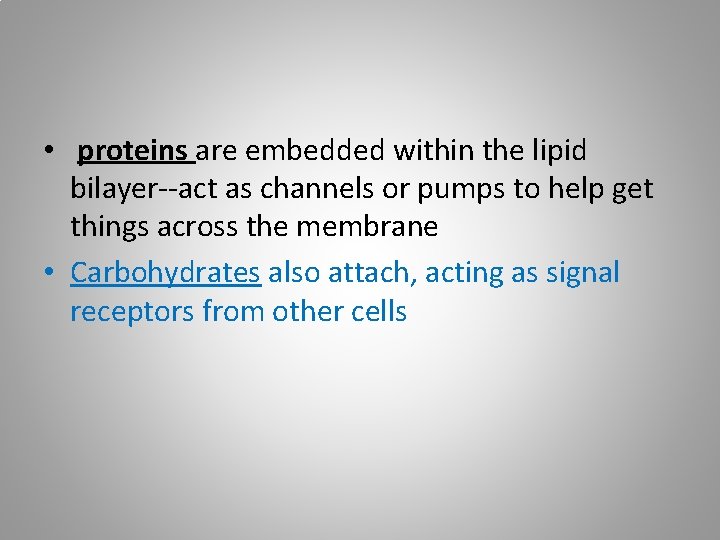  • proteins are embedded within the lipid bilayer--act as channels or pumps to