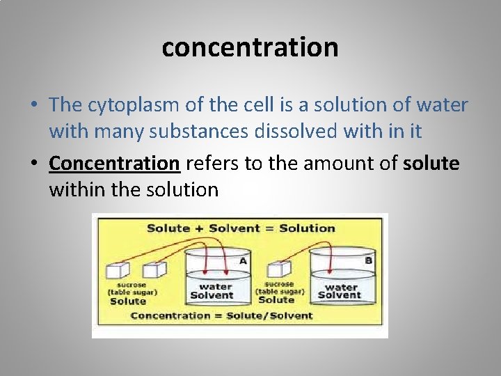 concentration • The cytoplasm of the cell is a solution of water with many