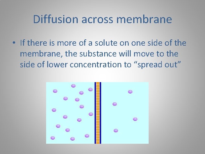 Diffusion across membrane • If there is more of a solute on one side